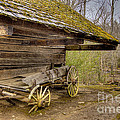 Buckboard