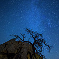 Winter in the Desert